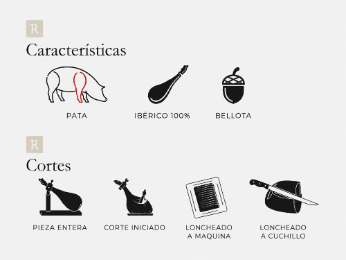Caracteristicas paletas ok