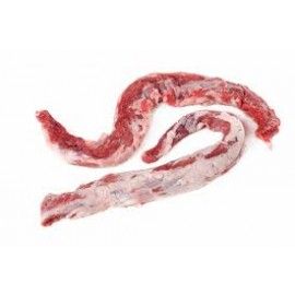 Lagarto
