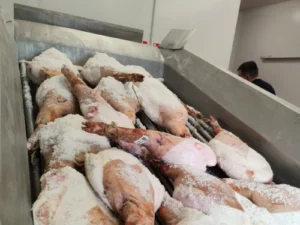 Proceso de secado 5